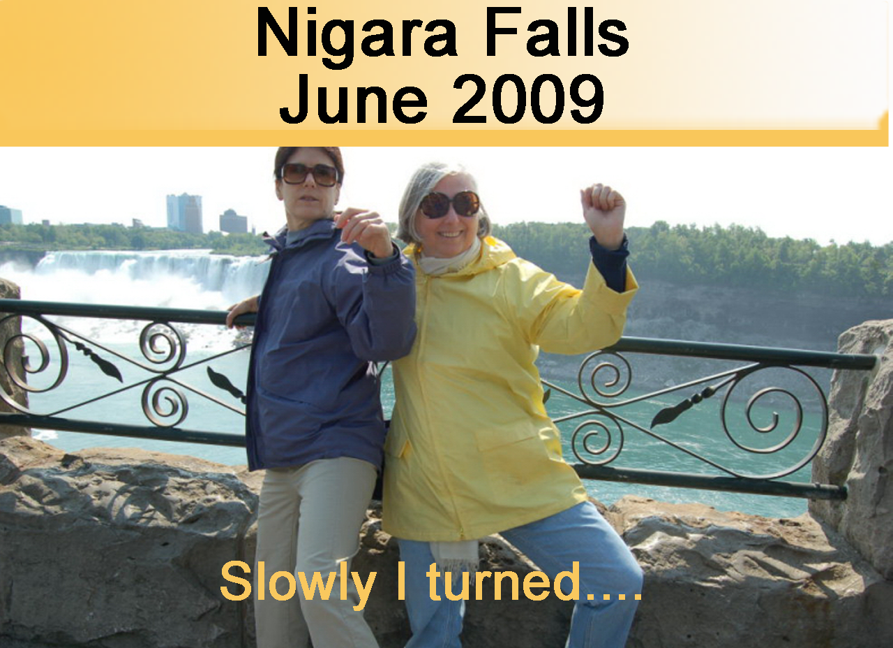 2009 Niagara
