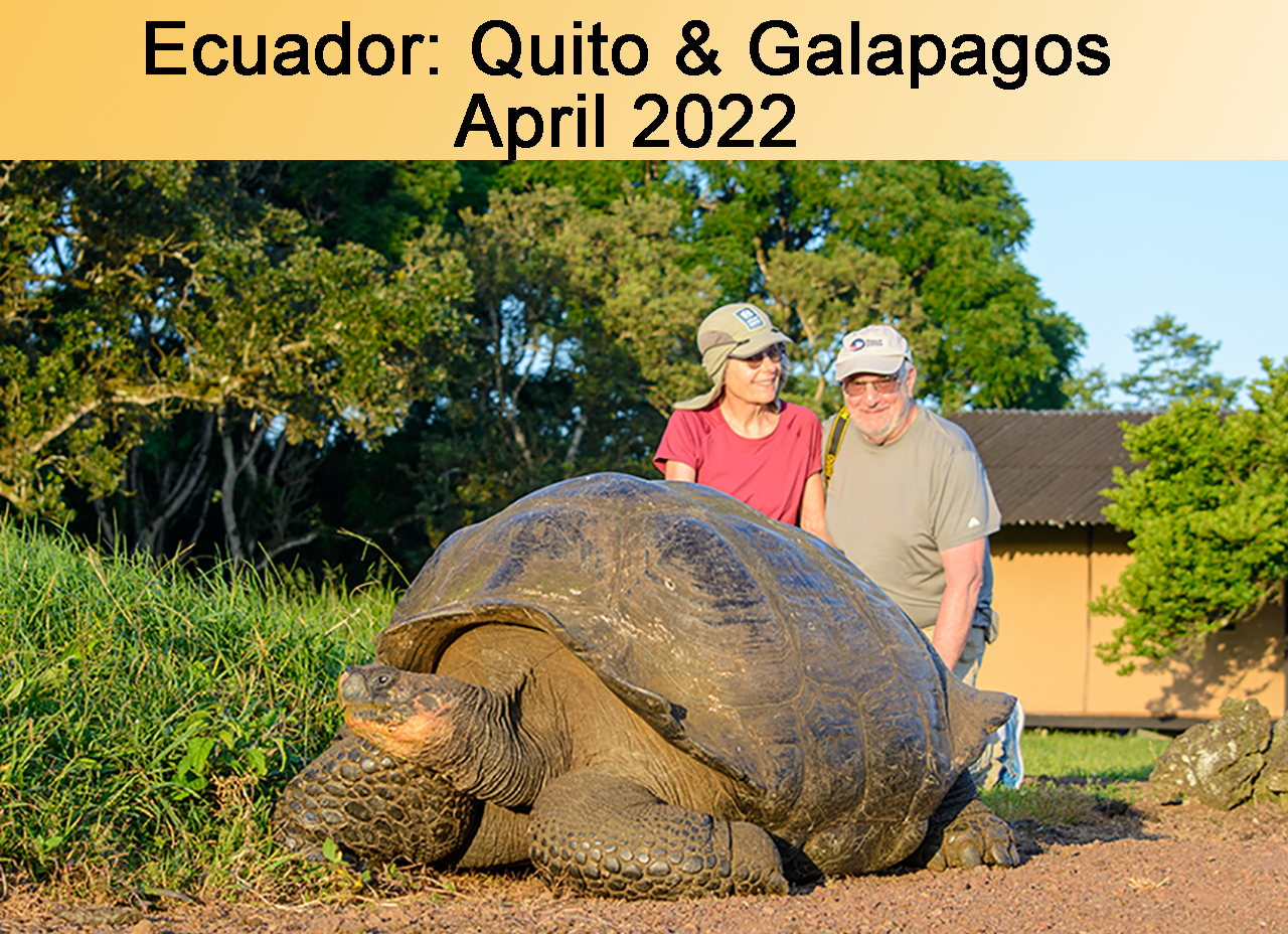Galaopogos & Quito