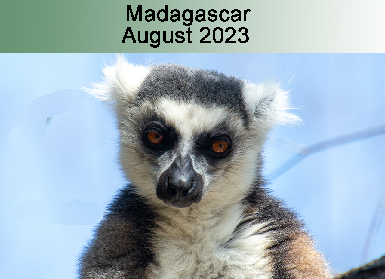 Madagascar