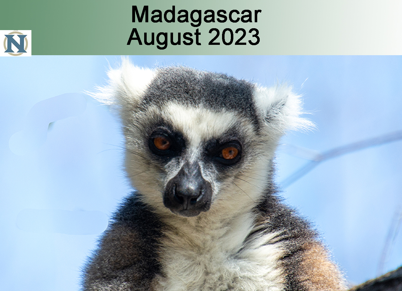 Madagascar
