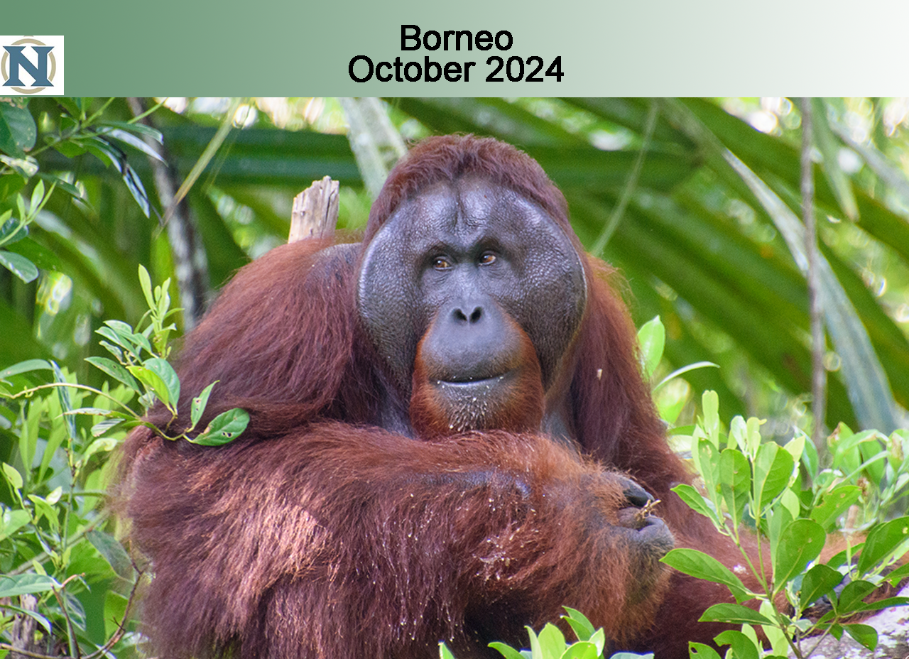 Borneo, Malaysia