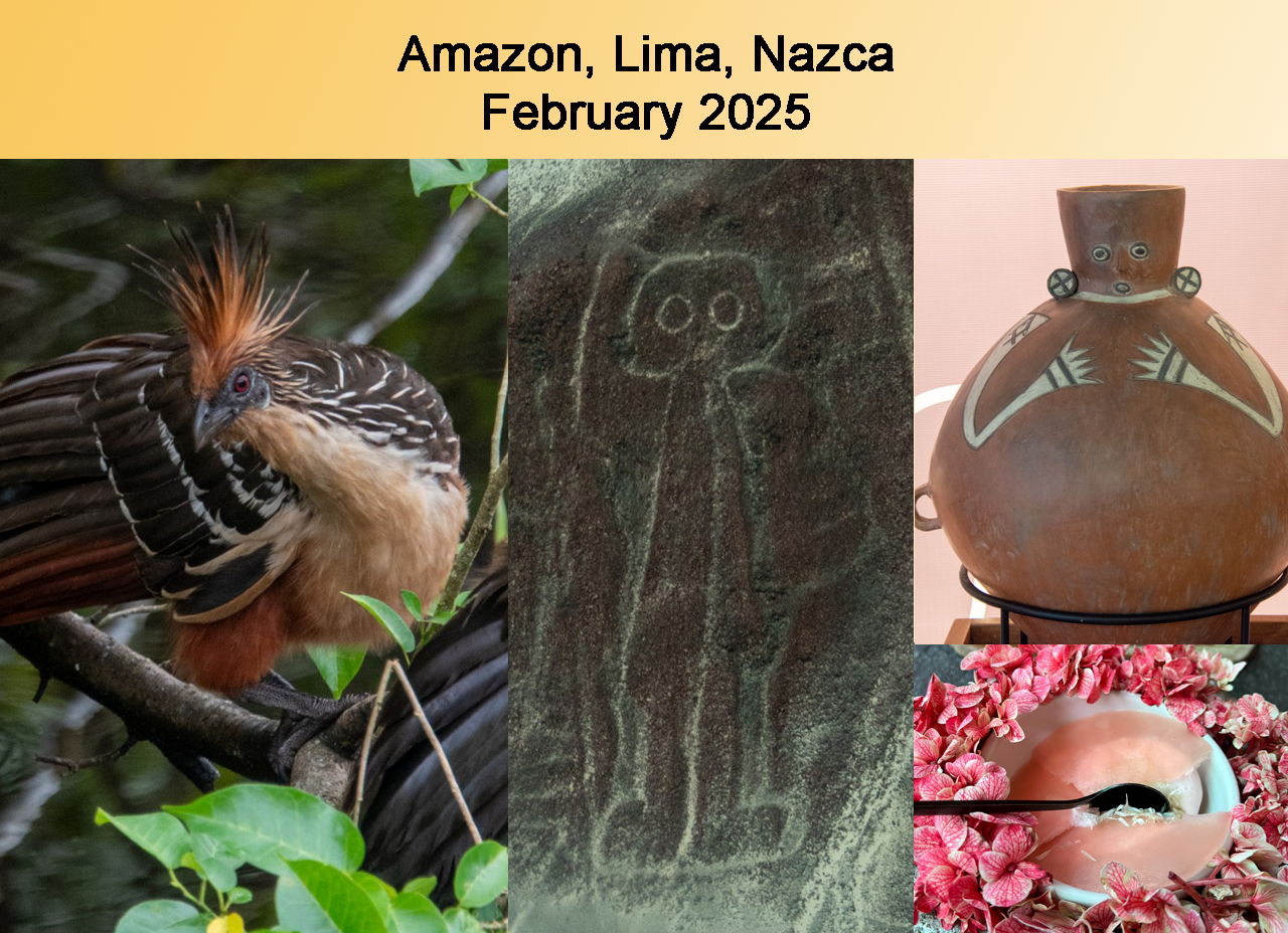 Amazon, Lima, Nazca