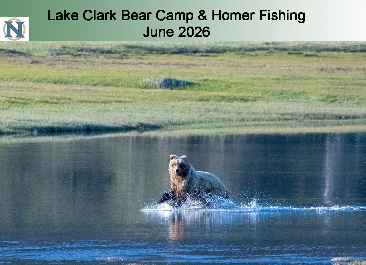 Alaska Bear Camp