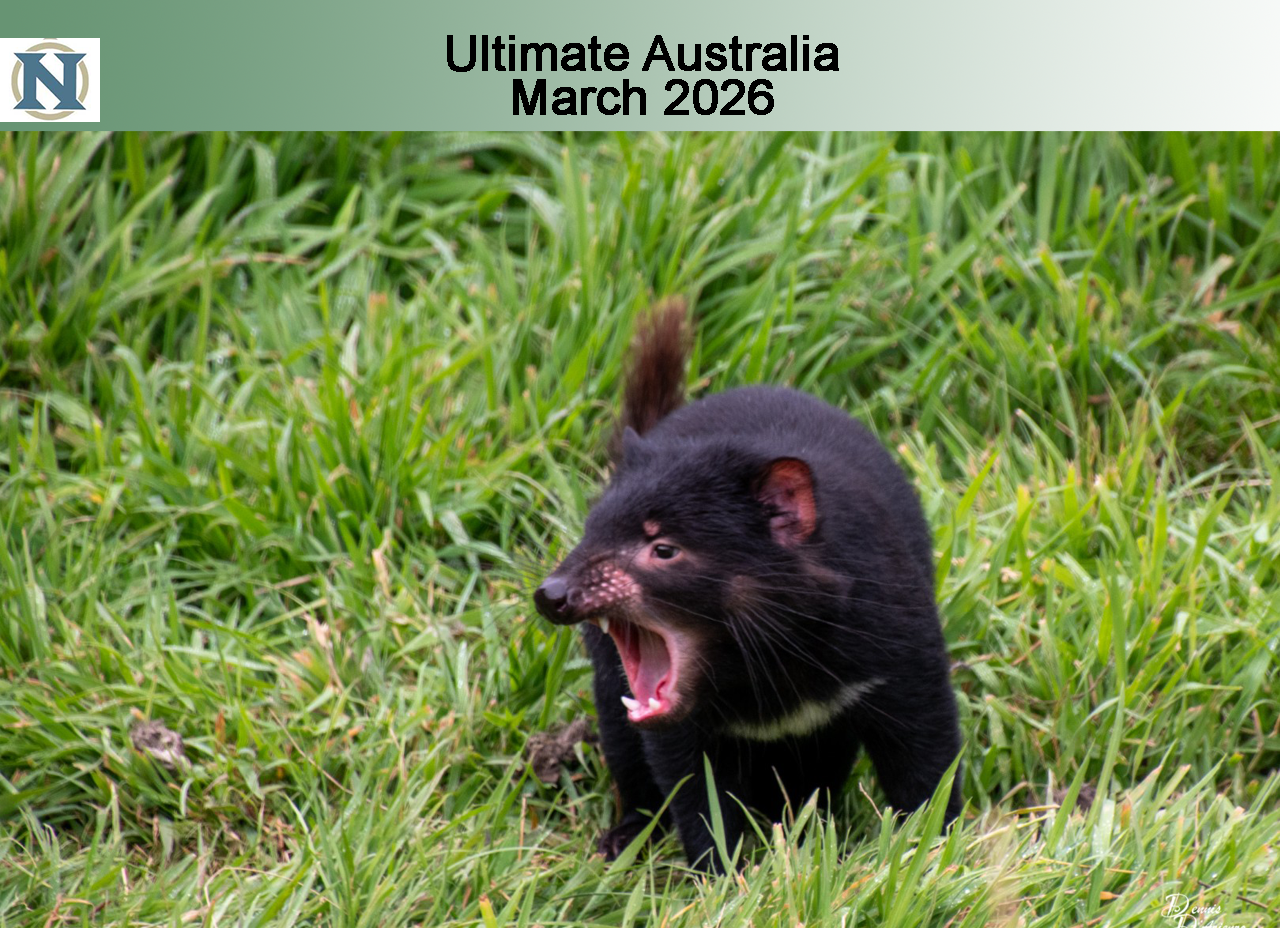 Ultimate Australia