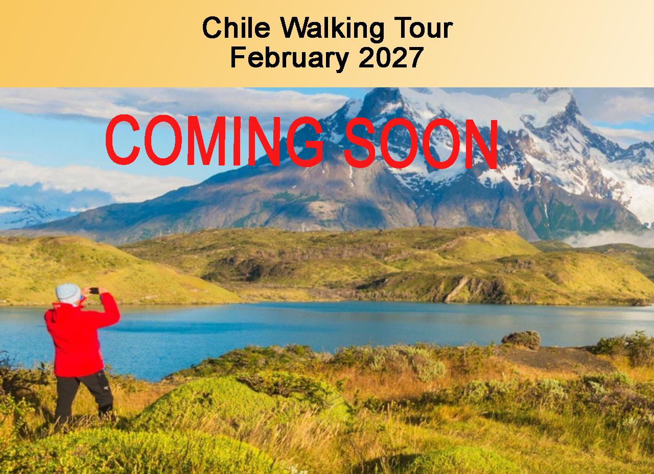 Chile Walking Tour